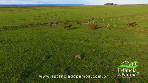 DOS EÓLICOS VIRA P FAZENDA_Moment.00_05_57_24.Quadro271_0a7d685fba66ffb93b9450be6bcea89ef3e88b4e.jpg